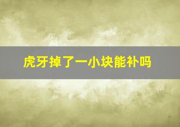 虎牙掉了一小块能补吗