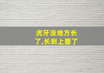 虎牙没地方长了,长到上面了