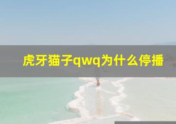 虎牙猫子qwq为什么停播