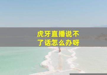 虎牙直播说不了话怎么办呀