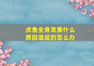 虎鱼全身发黑什么原因造成的怎么办