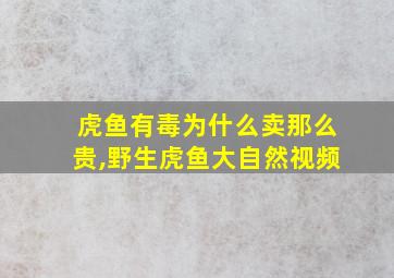 虎鱼有毒为什么卖那么贵,野生虎鱼大自然视频