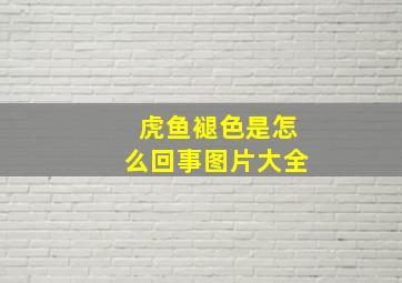 虎鱼褪色是怎么回事图片大全