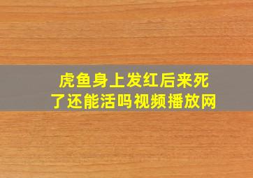 虎鱼身上发红后来死了还能活吗视频播放网