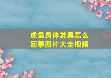 虎鱼身体发黑怎么回事图片大全视频