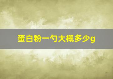 蛋白粉一勺大概多少g