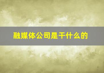 融媒体公司是干什么的