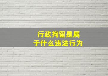 行政拘留是属于什么违法行为