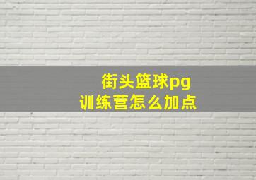 街头篮球pg训练营怎么加点