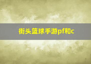 街头篮球手游pf和c