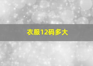 衣服12码多大