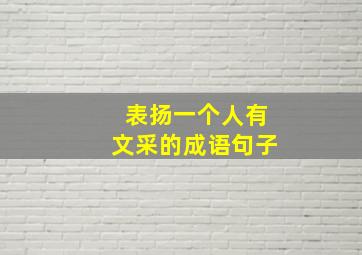 表扬一个人有文采的成语句子