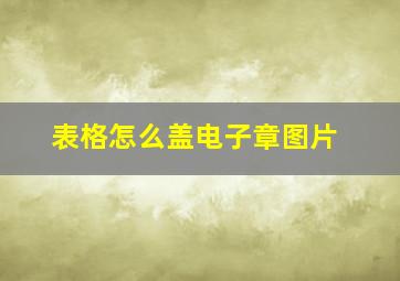 表格怎么盖电子章图片