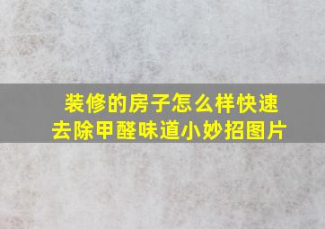 装修的房子怎么样快速去除甲醛味道小妙招图片