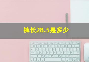 裤长28.5是多少