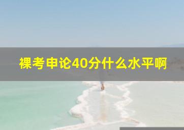 裸考申论40分什么水平啊