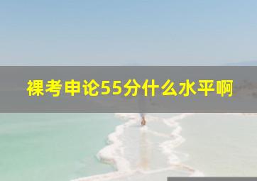 裸考申论55分什么水平啊