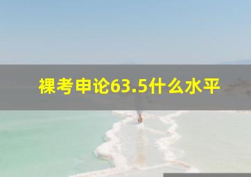 裸考申论63.5什么水平