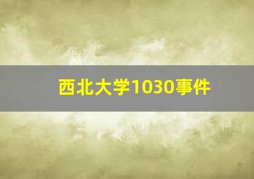 西北大学1030事件