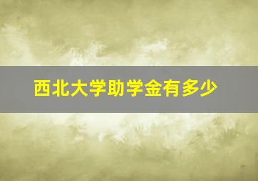 西北大学助学金有多少