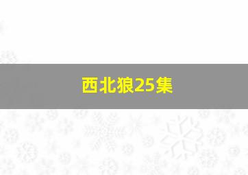 西北狼25集