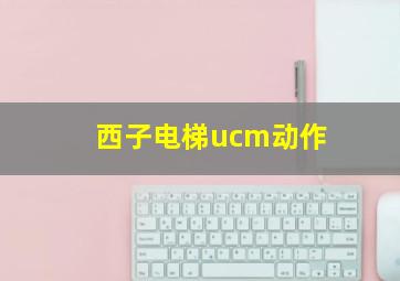 西子电梯ucm动作