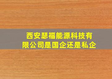 西安瑟福能源科技有限公司是国企还是私企