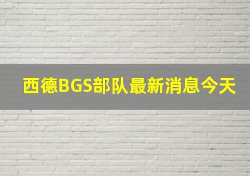 西德BGS部队最新消息今天