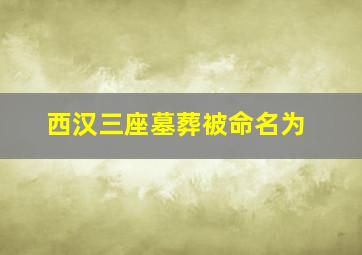 西汉三座墓葬被命名为