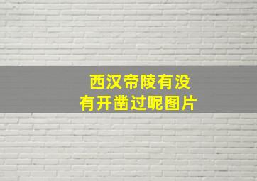 西汉帝陵有没有开凿过呢图片