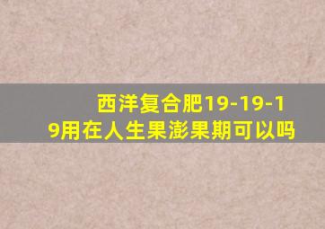 西洋复合肥19-19-19用在人生果澎果期可以吗