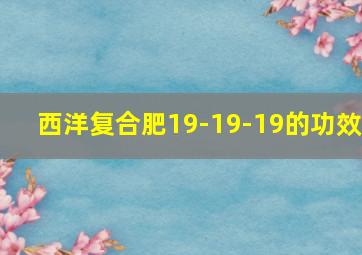 西洋复合肥19-19-19的功效