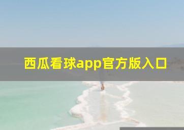 西瓜看球app官方版入口