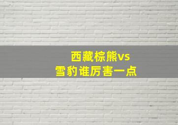 西藏棕熊vs雪豹谁厉害一点