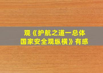 观《护航之道一总体国家安全观纵横》有感