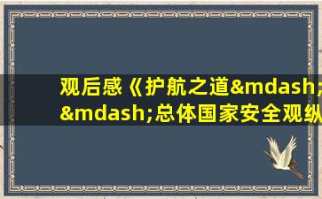 观后感《护航之道——总体国家安全观纵横》