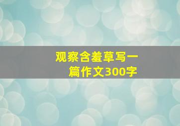 观察含羞草写一篇作文300字