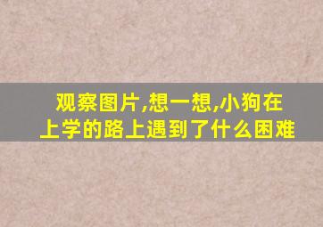 观察图片,想一想,小狗在上学的路上遇到了什么困难