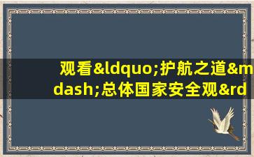 观看“护航之道—总体国家安全观”心得体会