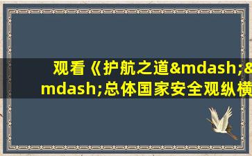 观看《护航之道——总体国家安全观纵横》心得体会