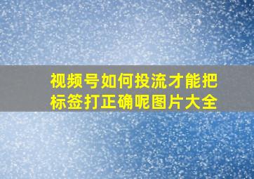 视频号如何投流才能把标签打正确呢图片大全