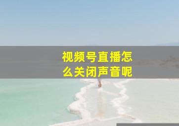 视频号直播怎么关闭声音呢