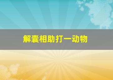 解囊相助打一动物