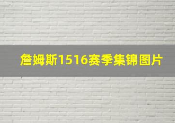 詹姆斯1516赛季集锦图片