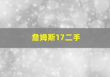 詹姆斯17二手