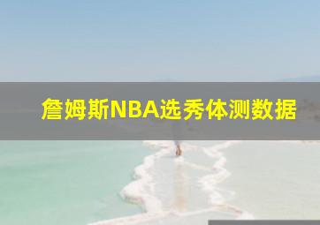 詹姆斯NBA选秀体测数据