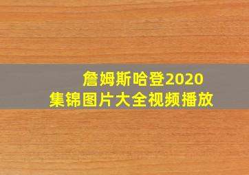 詹姆斯哈登2020集锦图片大全视频播放