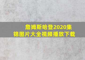 詹姆斯哈登2020集锦图片大全视频播放下载