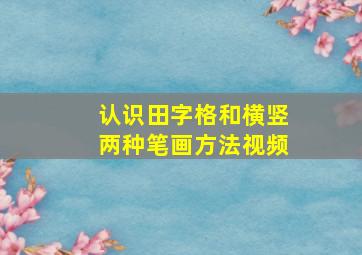 认识田字格和横竖两种笔画方法视频