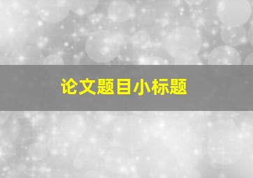 论文题目小标题